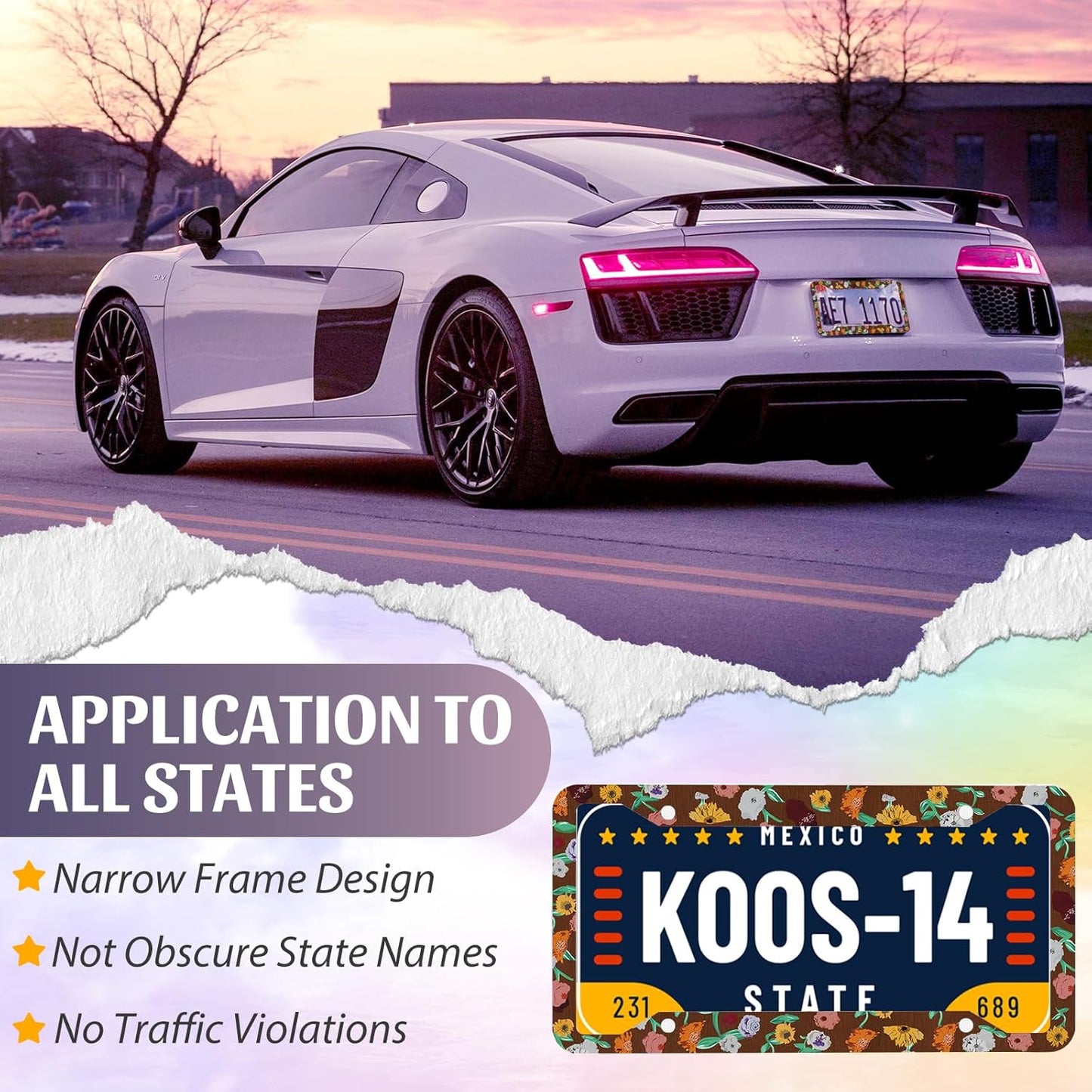 License Plate Frame for Car,Flower Piano Surprise Song Plate Frame with Screws for Standard Us Canada