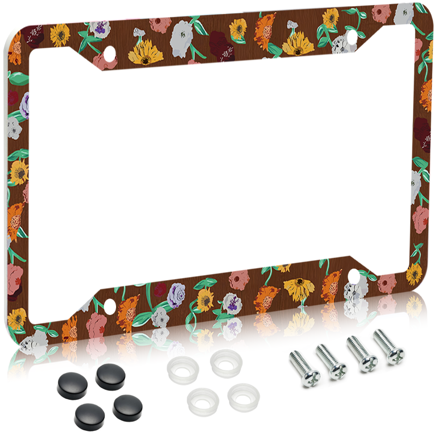 License Plate Frame for Car, Car Plate Frame with Screws for Standard Us Canada License Plate Holder, Stainless Steel Car Accessories 12x6 Inch
